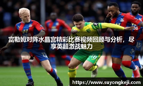 富勒姆对阵水晶宫精彩比赛视频回顾与分析，尽享英超激战魅力